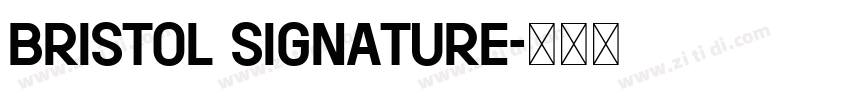 Bristol Signature字体转换